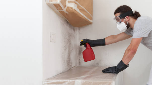 Attic Mold Remediation treatment on roof deck in Malden